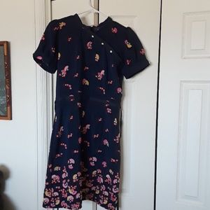 Trollied Dolly Fan Dress